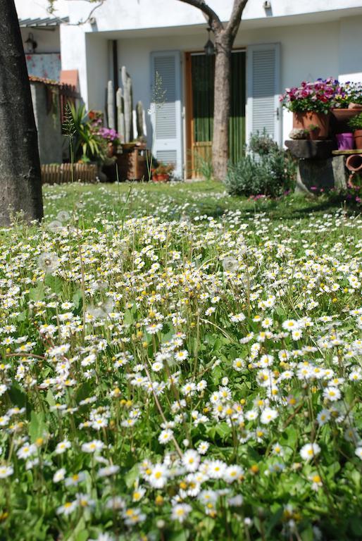Bed And Breakfast Il Girasole ลัมปอเรคคิโอ ภายนอก รูปภาพ
